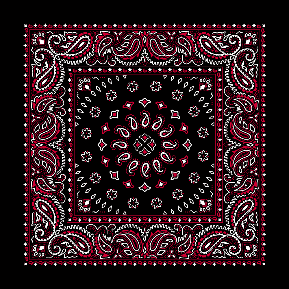 Paisley bandana Swarovski　Black×Red Narrow Black Paisley Bandana With Red and Diamond Clear