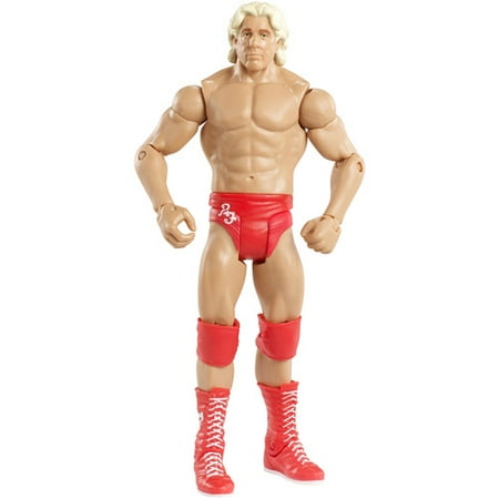 Mattel Brands Wwe Basic Figure Assortment