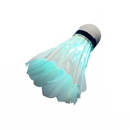 BESTSKY 2026 New Led Badminton Birdies, Plastic Shuttlecocks Badminton Birdies Dark Night Goose Feather Glow Birdies Lighting Outdoor Indoor Sport Activities