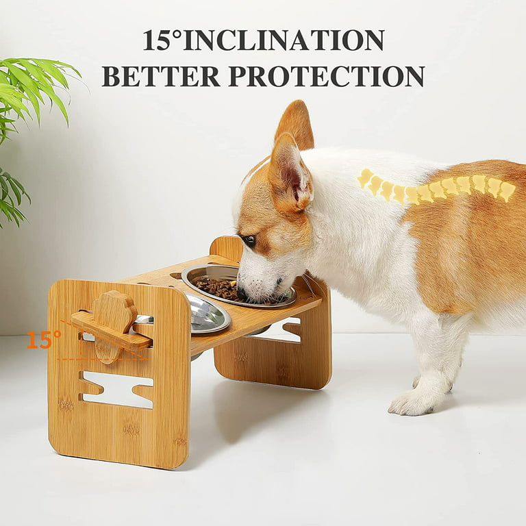 Elevated Dog Bowls 4 Adjustable Heights with Wooden Stand for Indoor  Outdoor Pet Dishes for Cats