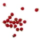 thumbnail image 3 of 10 Piezas mini alimentos Porción Frutas 1:12 escala miniatura Sunnimix rojo, 3 of 8