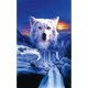 thumbnail image 1 of Diamond Painting (DE6176) 5D Wolf Animal Pattern Square Rhinestone (B1265) 45x60cm FLhrweasw Nuevo, 1 of 1