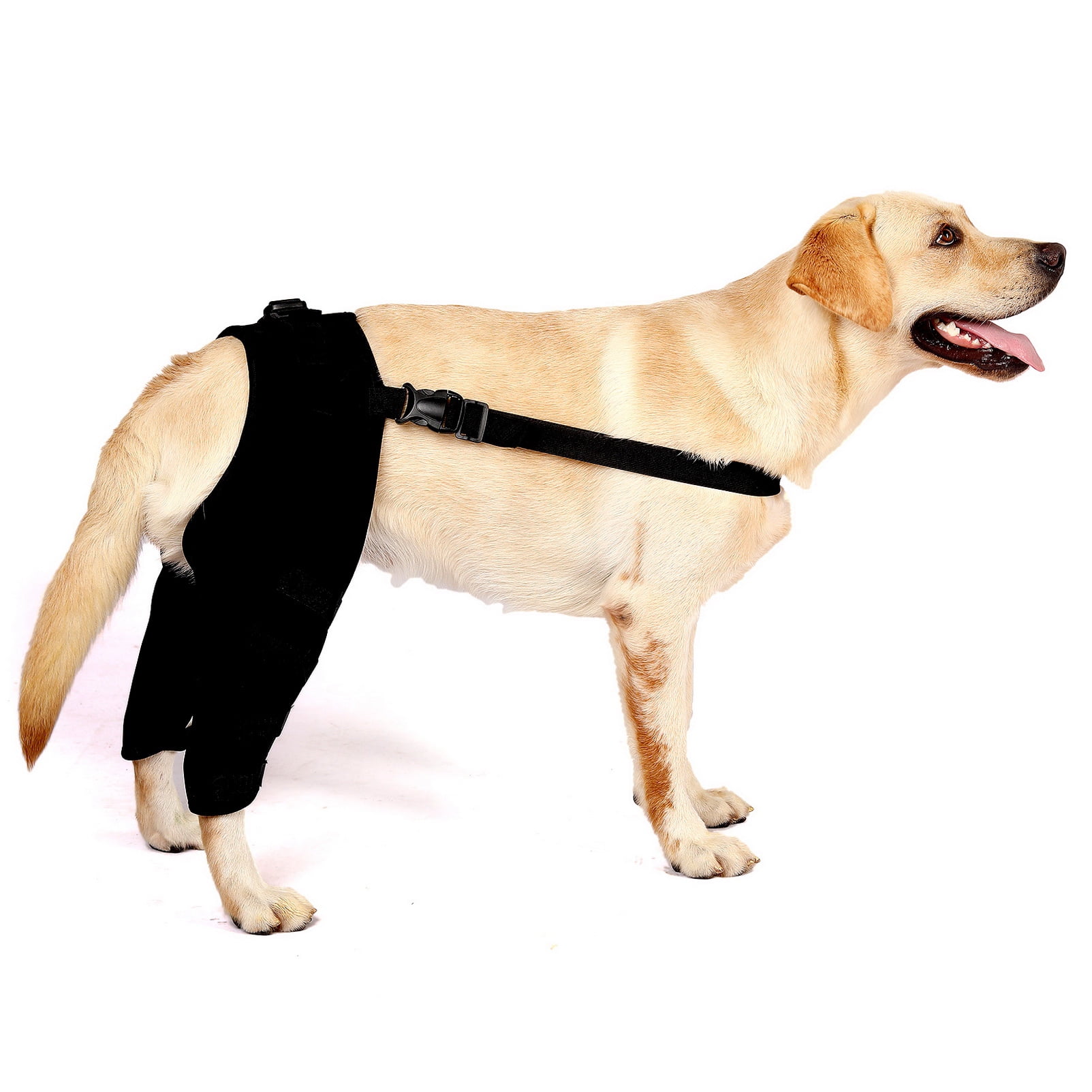 Automotive Protective Gear Dog Rear Leg Joint Brace Heals Hock Wrap Pet 