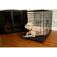 Iconic Pet 36" Foldable Double Door Pet Dog Cat Training Crate with