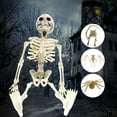 thumbnail image 4 of Matoen 15.7'' Halloween Skeleton Decorations, Full Body Posable Skeleton Realistic Plastic Bones Movable Joints for Halloween Party Yard Haunted House Props Indoor Outdoor Decor, 4 of 5