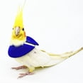 thumbnail image 1 of Phenofice 2Set Pet Recovery Collar Assorted Color Promote Recovery Daily Use Simple Design, 1 of 8