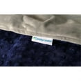 thumbnail image 3 of Density Comfort DC6080-GRY-BLU-MDC-WS 60 x 80 in. Minky Dot Super Soft Duvet Cover - Grey & Blue, 3 of 4