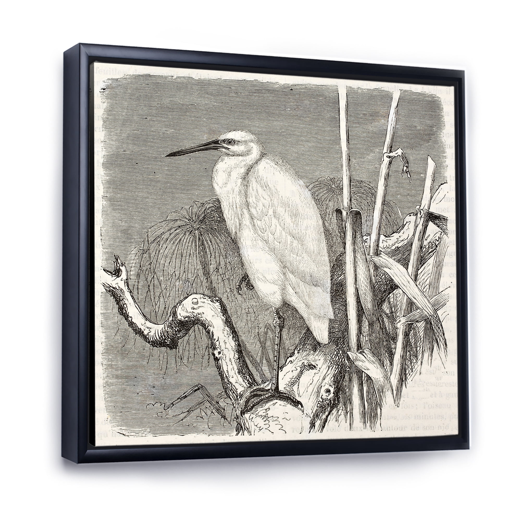 Little Egret Bird in Monochrome 16 in x 16 in Framed Painting Canvas Art Print, by Designart