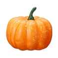 thumbnail image 1 of xiaxaixu Artificielle Citrouilles Décorations Halloween Simulation Mousse Citrouilles pour Halloween L'action de Grâce Automne Récolte Décorations Maison, 1 of 7