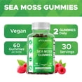 thumbnail image 6 of 2 PackVitamatic Irish Sea Moss Gummies with Bladderwrack & Burdock Root – Botanical Extract Supplement – Vegan, Non-GMO – 60 Count, 6 of 11