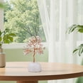 thumbnail image 2 of Handmade Natural Tree Feng Shui Bonsai for Wealth Luck and Positive Energy Home Desk Decoration, 2 of 6