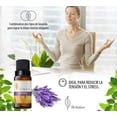 thumbnail image 2 of Aceite Esencial de Lavanda Herbolare 5 mL, 2 of 3