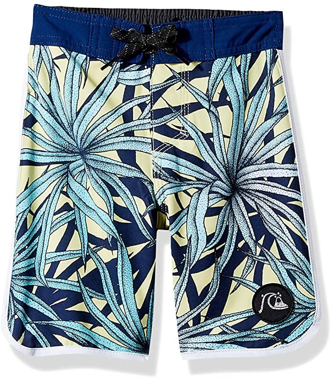 quicksilver boys swim trunks