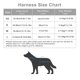 thumbnail image 4 of Conjunto de correa - Arnés tipo chaleco para perros pequeños y medianos - Arnés reflectante ajustable con estribo, 4 of 6