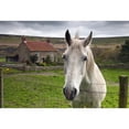 thumbnail image 2 of Posterazzi DPI1853675LARGE Horse Peering Over Fence North Yorkshire England Poster Print, Large - 36 x 24, 2 of 4