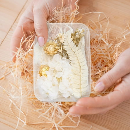 

Simulation Flowers 1 Box Real Dried Flower Resin Fillings Expoxy Flower For Epoxy Resin Jewelry Making Craft DIY Supplies Accessories (Forget Me Not)