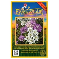 Everwilde Farms - 500 Globe Annual Candytuft Garden Flower Seeds - Gold Vault Jumbo Bulk Seed Packet
