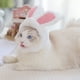 thumbnail image 5 of Greeniant Gorro de conejo y gato bonito y divertido de poliéster con orejas, accesorio Adorable para mascotas, peluca de melena de león para Ropa para mascotas Gorro Conejito M, 5 of 6