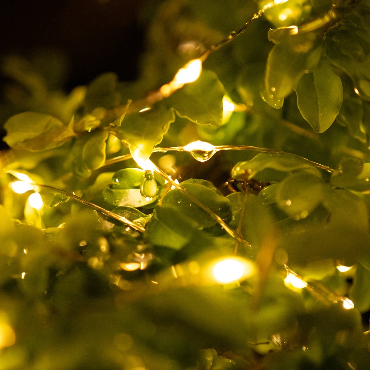RESNICE Plug in Fairy Lights 200FT 600 LED Waterproof Silver Wire LED Twinkle String Lights with Remote for Living Room Bedroom Patio Porch Garden Christmas Tree Wedding