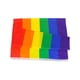 thumbnail image 2 of Bandera arcoíris del orgullo gay LGBT de Filadelfia (90 x 150 cm), 2 of 4