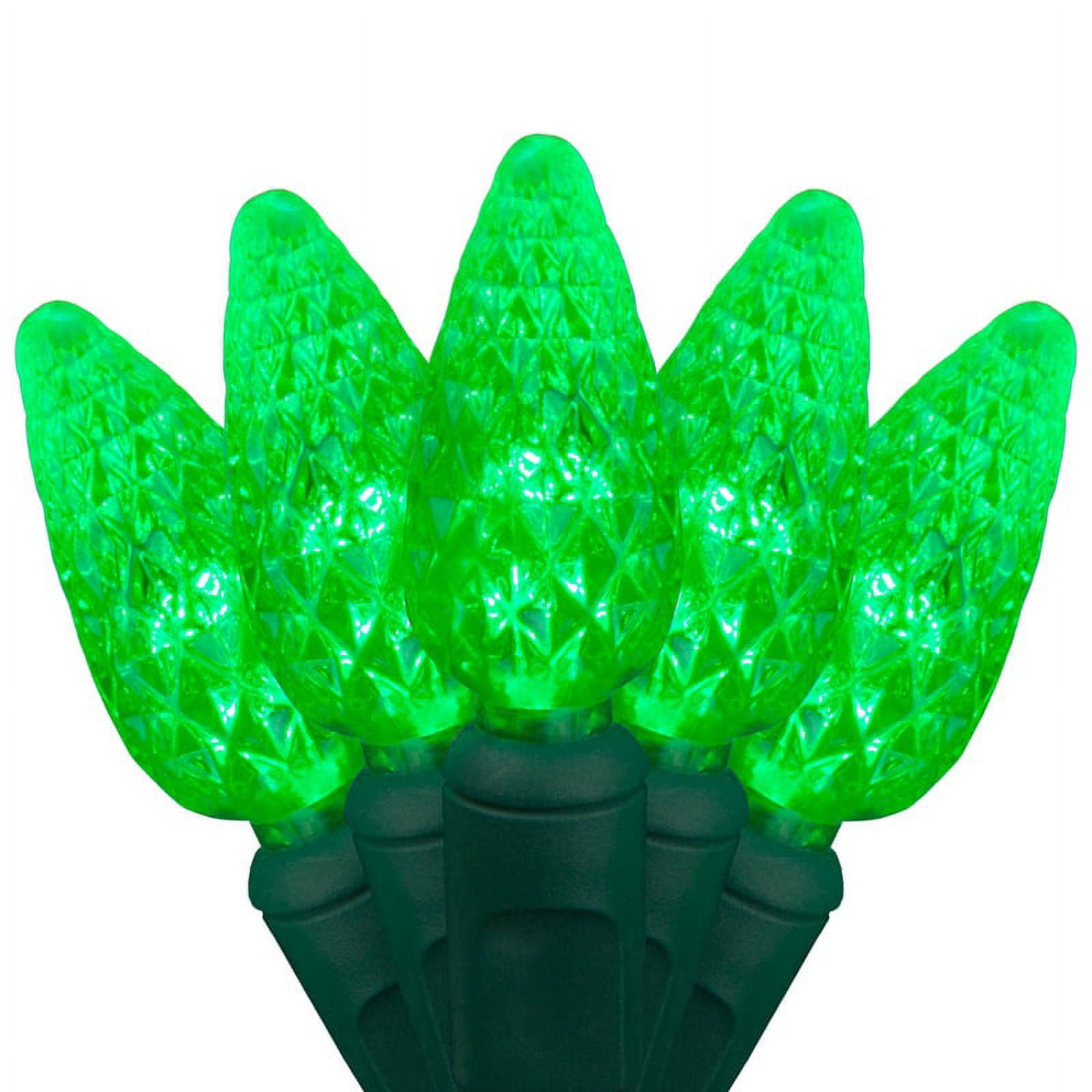 Wintergreen Lighting C6 Green Christmas Lights LED String Lights, Set of 70 Lights on Green Wire, 24 Ft - Indoor/Outdoor Lighting