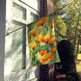 thumbnail image 2 of California California Poppies in Watercolor House Flag 28 in x 40 in, 2 of 5