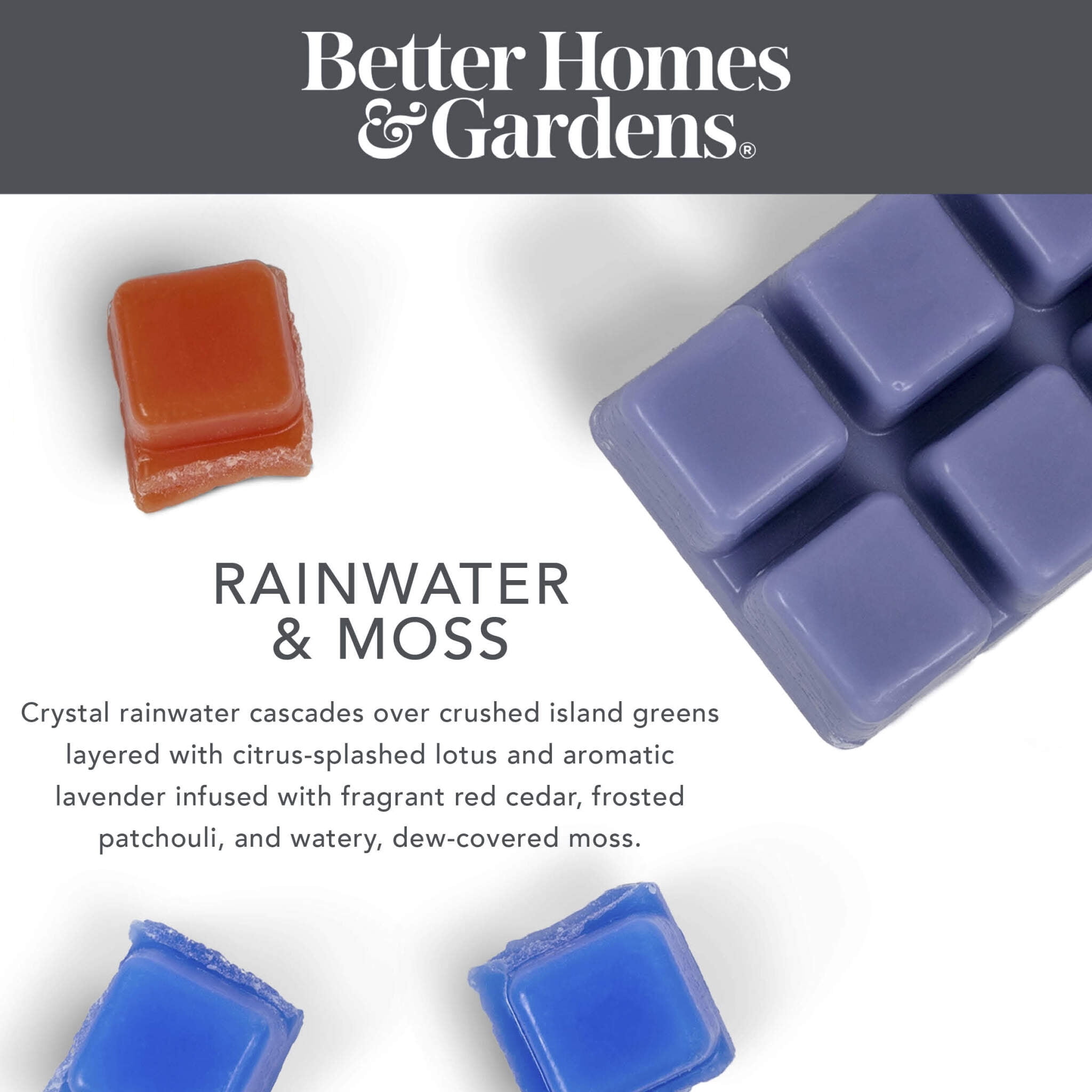 Rainwater & Moss Scented Wax Melts, Better Homes & Gardens, 2.5 oz (1-Pack)