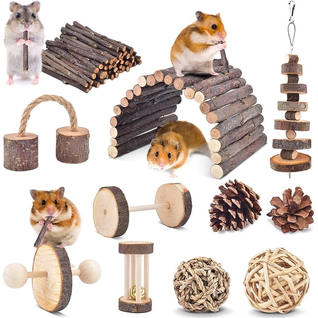 Juguetes para masticar conejos, conejo, hámster, juguetes para masticar, paquete de 11 juguetes de madera natural para cobayas y accesorios, juguetes para el cuidado de los dientes para cobayas, hámster sirio, ratas, chinchillas, jerbos, hámster ACTIVE Biensenido a ACTIVE