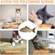 thumbnail image 5 of 5 uds juguete con hierba gatera simula forma de pez hierba gatera esponjosa almohada interactiva para mascotas suministros para masticar, 5 of 6