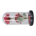 thumbnail image 3 of Luz decorativa de pelusa de cristal rosa LED eléctrica, cubierta de cristal rosa de 2 uds para cumpleaños, madre, 3 of 9