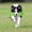 Green, variant on Durable Dog Chew Toys 13 Inch Bone Shape Extra Large Dog Toys with Convex Design Strong Tug Toy for Aggressive Chewers Medium and Large Dogs Tooth Cleaning Green