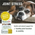 thumbnail image 2 of HomeoPet Joint Stress Joint Health Supplement Solution for Pets, 15-Milliliter Bottle, 2 of 8