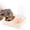 Pink, variant on Yiran Pet Food & Water Feeding Bowl, Gentleman Gray
