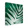 thumbnail image 2 of Grace Popp 'Velvet Palm II' Canvas Art, 2 of 3