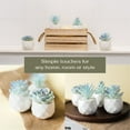 thumbnail image 3 of Mini Blue Artificial Succulent in Pots (White Ceramic, 4 Pot Set) Fake Plants for Indoors, Office Decor Blue, Room Decorations Aesthetics & Office Home Decor Gifts-Faux Plant, 3 of 5
