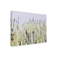 thumbnail image 2 of Blue Palomino 'Beach Sage' Canvas Art, 2 of 3