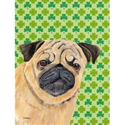 15 x 15 in. Pug St. Patricks Day Shamrock Portrait Garden Size Flag