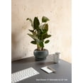 thumbnail image 4 of Black Speckled Bowl Planter with Saucer, 4 of 6