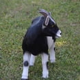 thumbnail image 4 of GOAT STATUE, 4 of 6