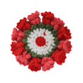thumbnail image 4 of Siruishop Crochet Coaster Cute Compact Flower Coaster for Cafe Dining Room Living Room Red, 4 of 8
