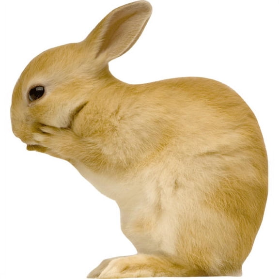 Wallhogs Whispering Bunny Cutout Wall Decal