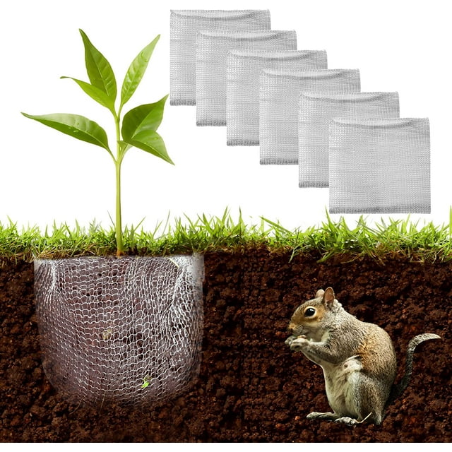 6 Pcs Paniers de Protection pour Racines de Plantes, Paniers en Fil d'Acier Inoxydable pour Protéger les Racines des Plantes, Contrôle du Gopher pour une Plantation Efficace, 1 Gallon 3 Gallons 5 Gallons, 3 Tailles Chacun*2