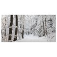 thumbnail image 1 of Designart Dense Winter Forest and Lane Canvas Wall Art, 1 of 4