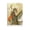 Unframe-style, variant on Yumihiko Amano Painting Japan Artist Poster Canvas Poster Wall Art Picture Prints Hanging Photo Gift Decor Home Posters Artworks 16x24inch(40x60cm)