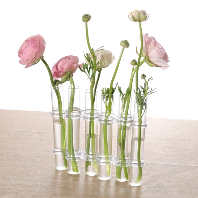 Terrario de escritorio perfecl 6 piezas grandes Florero de tubo de ensayo