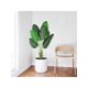 thumbnail image 2 of 72 - pulgada green bird of paradise artificial plant para indoor home sala de estar y oficina decoration, 2 of 10