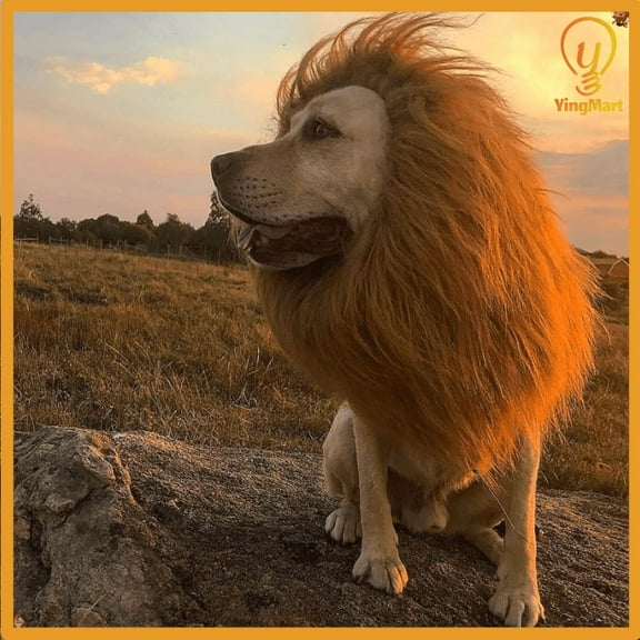 Lion Mane Wig Headgear Puppy Kitten Realistic Funny Halloween Cosplay YingMart Pet Costume (LightBrown, SingleHeadS)