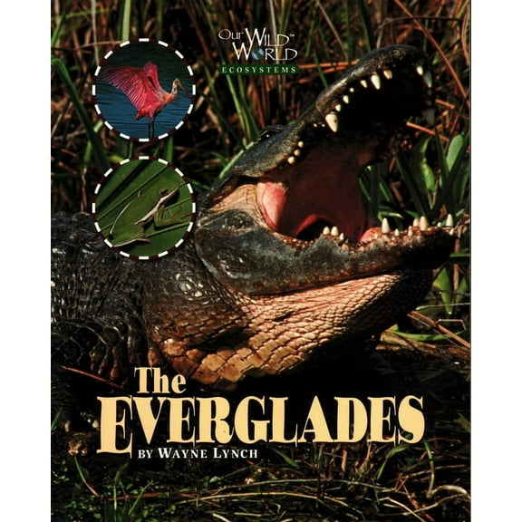Our Wild World: Everglades (Paperback)