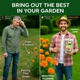 thumbnail image 4 of ⭐ 𝐁𝐄𝐒𝐓𝐒𝐄𝐋𝐋𝐄𝐑 10-10-10 Plant Fertilizer Slow Release | 10 10 10 All Purpose Fertilizer for Fruit Trees, Evergreens, Vegetables, Arborvitae, Fig Trees, Shrubs, Pines, Oaks, Flowers [20 Quarts], 4 of 9