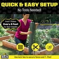thumbnail image 7 of Boen - Plastic Hex Chicken Wire Mesh Temporary Fence Roll (3' x 25' - Green) - Plastic Fence Poultry Netting for Temporary or Semi Permanent Enclosures, Deer Netting Fence, Construction Fencing, 7 of 7